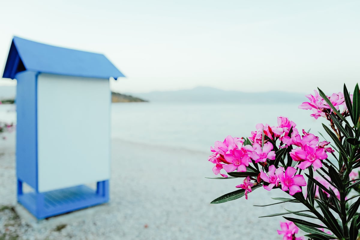 Summer Secrets: The Baths of Helen of Troy — gallery image